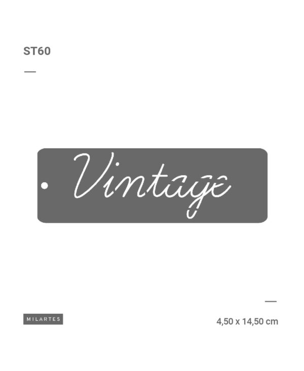 ST60