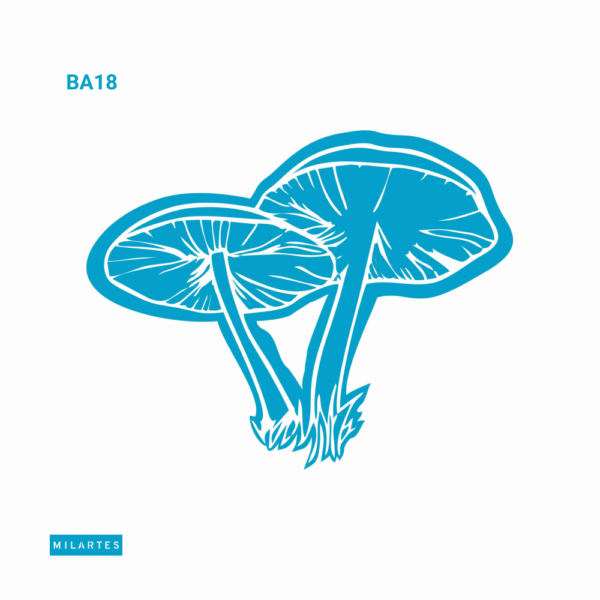 BA18 - Hongos