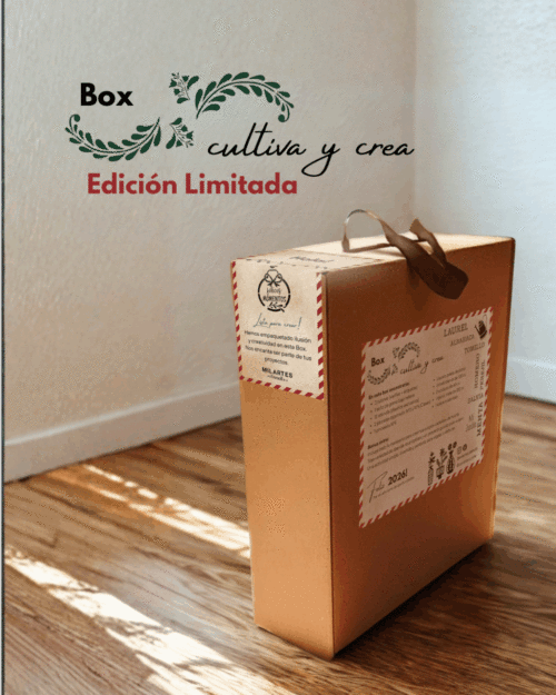 Box Cultiva y Crea